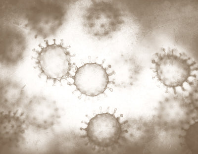 UNVEIL THE INTRICACIES OF RESPIRATORY SYNCYTIAL VIRUSES: