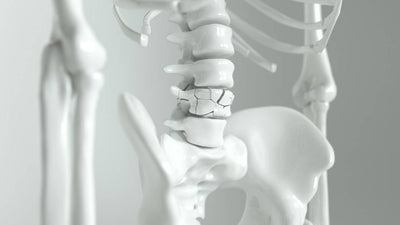 Unlocking the Secrets of Strong Bones:  Beyond Bone Density